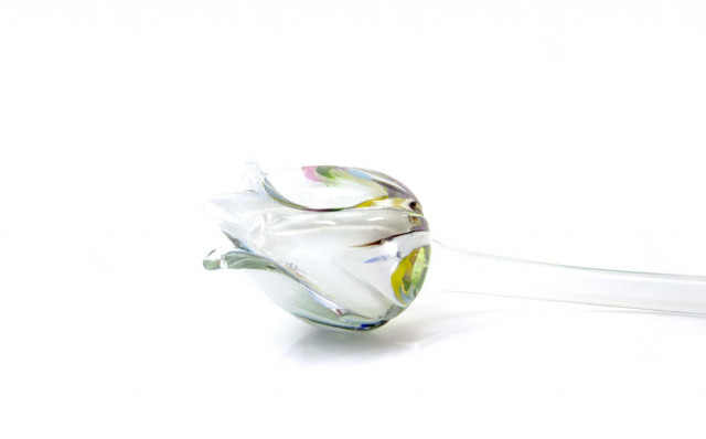 Loranto + Tulp, multicolor-wit